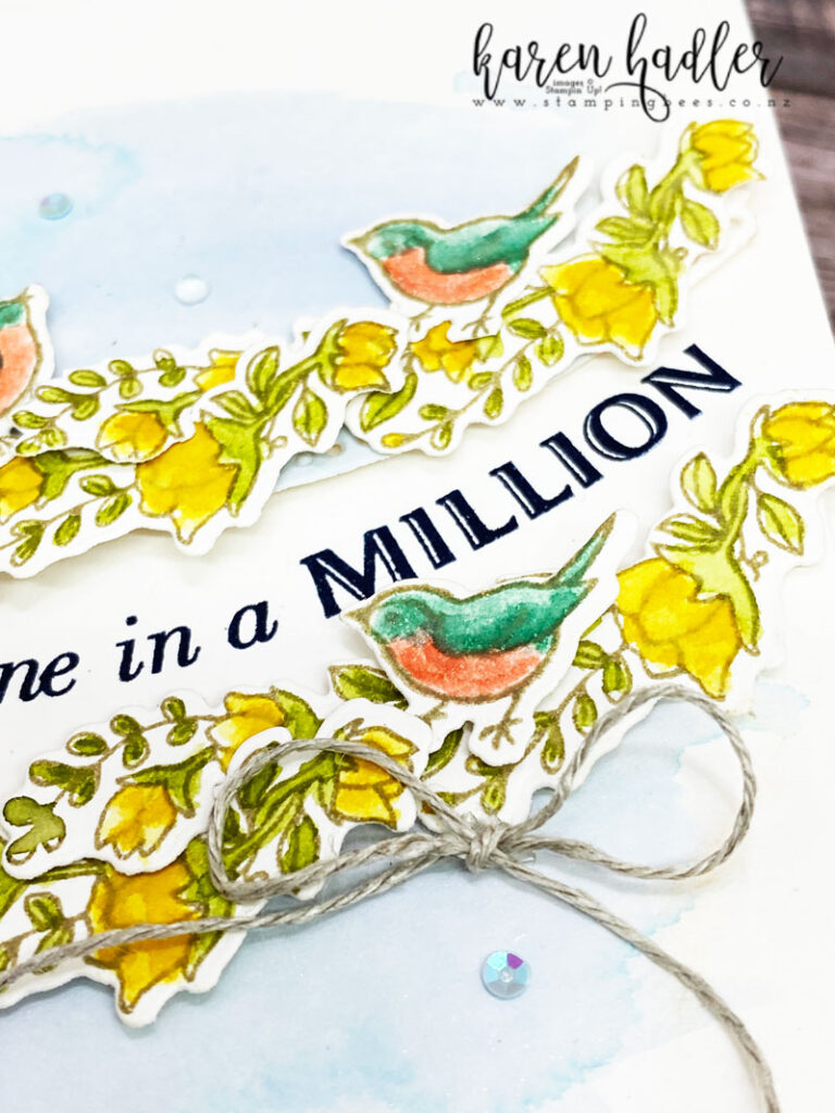 Highlighting flowers and Birds in Curvy Celebations