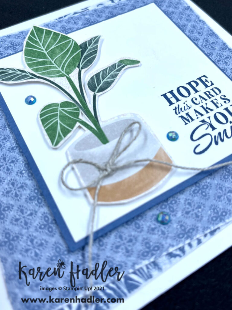 A close up ofHope this makes you smile square card on a white base. There are two designer Series paper mats adhered on an angle. There is a small square white mat in the middle with a blue border. A pot plant with large green leaves is the focal point and the words read Hope this card makes you smile