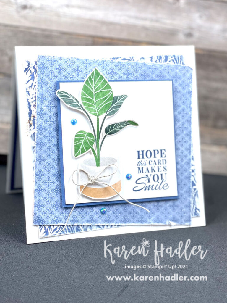 Hope this makes you smile square card on a white base. There are two designer Series paper mats adhered on an angle. There is a small square white mat in the middle with a blue border. A pot plant with large green leaves is the focal point and the words read Hope this card makes you smile