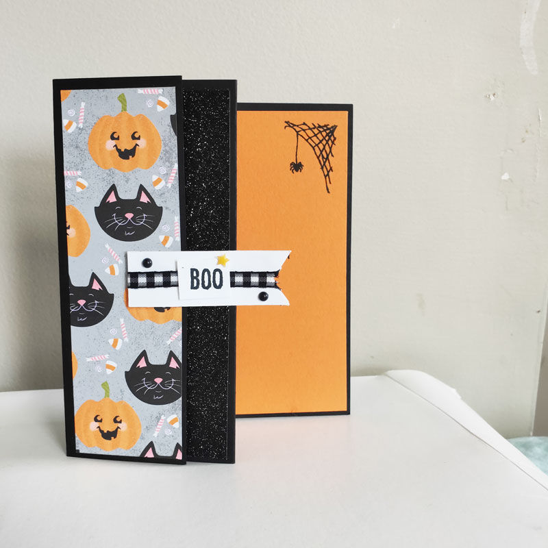 A picture showing a cut Halloween fancy fold card using the Cute Halloween DSP Showing cats and pumpkins and glittery black