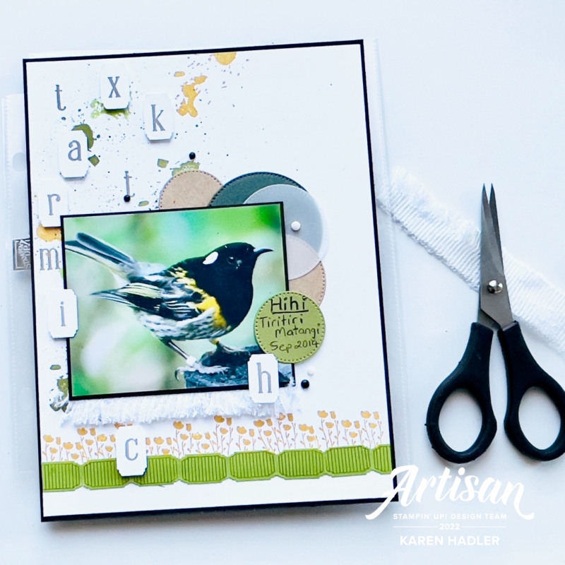 A picture of a Bird on a Mini album page with circles and letters.