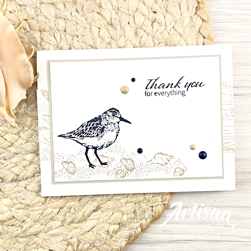 A picture of a Thank you card with sand and seashells and a Night of Navy Bird standing in the snad.