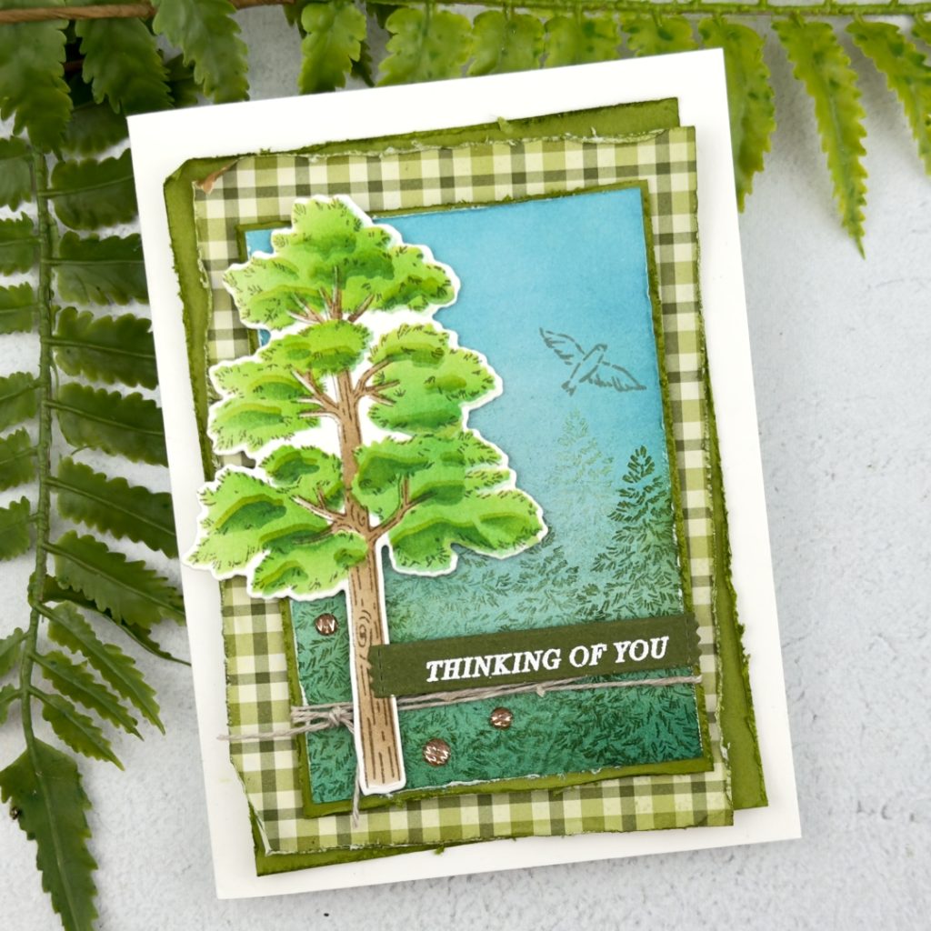 A Greeting card a a White card base. the first mat is Old Olive is the edges have been roughed up a little. It is adhere slightly t the left. On top; of this also with rough edges and adhered slightly to the right is a Old Olive, Mossy Meadow and white gingham pice of patterned paper.On top of this is a smaller old olive mat and ontop of this is apiece of patterned paper that has trees stamped at the bottom a bird flying in the blue sky.
To the left is a die cit tall tree with green foliage and a brown trun k. Around the smaller piece there is Linen Thread wrapped around x 3 and tied in a knot. The Sentiment is white Embossed on Mossy Meadow card stock and reads Thinking of you and sits above the Linen Thread. There are also 3 brown gems.